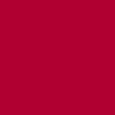 Light Red American Made Brand Solid
