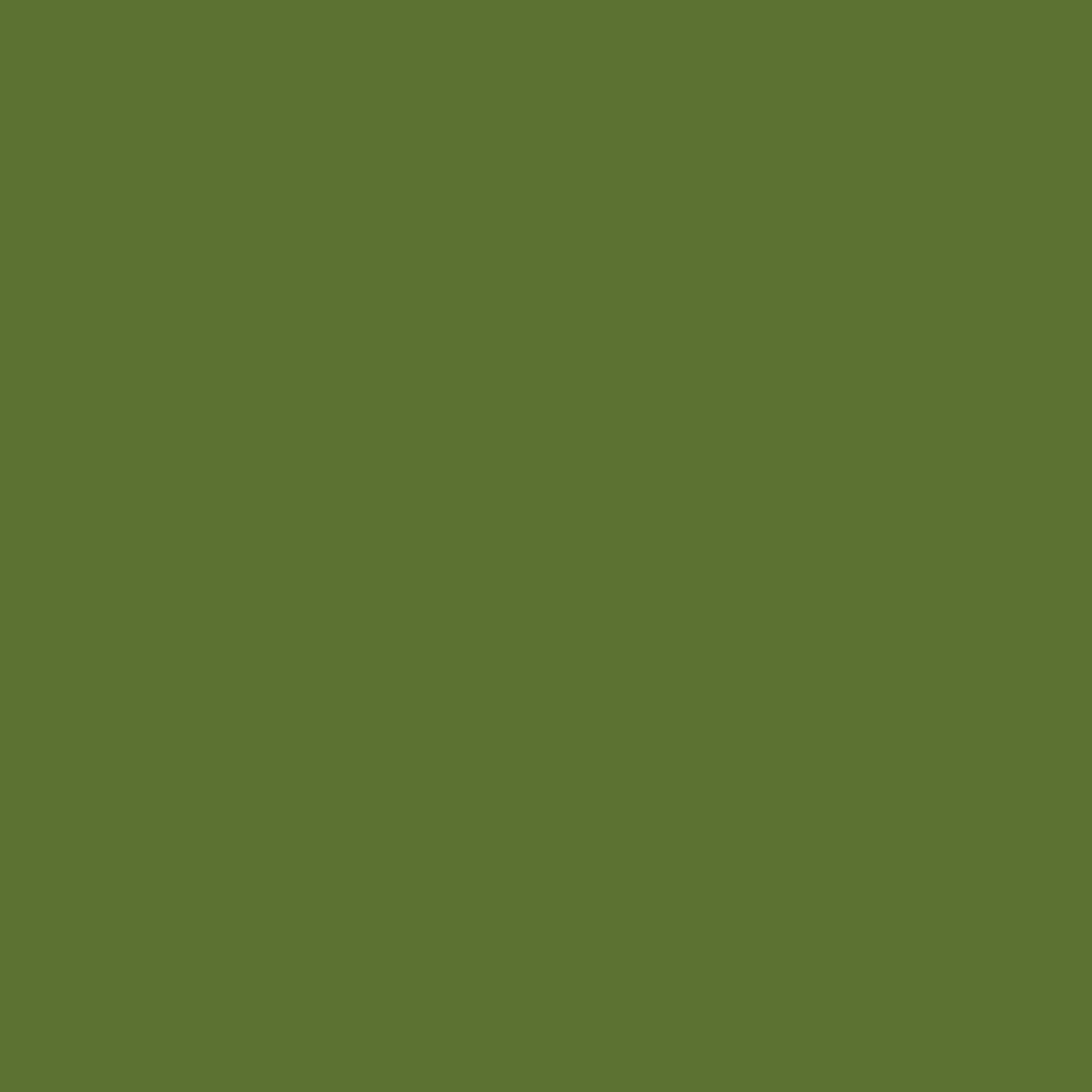 Olive, American Made Brand Solids